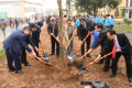 Trường Cao đẳng Cơ điện và Xây dựng Bắc Ninh: Xây dựng trường học xanh - sạch - đẹp